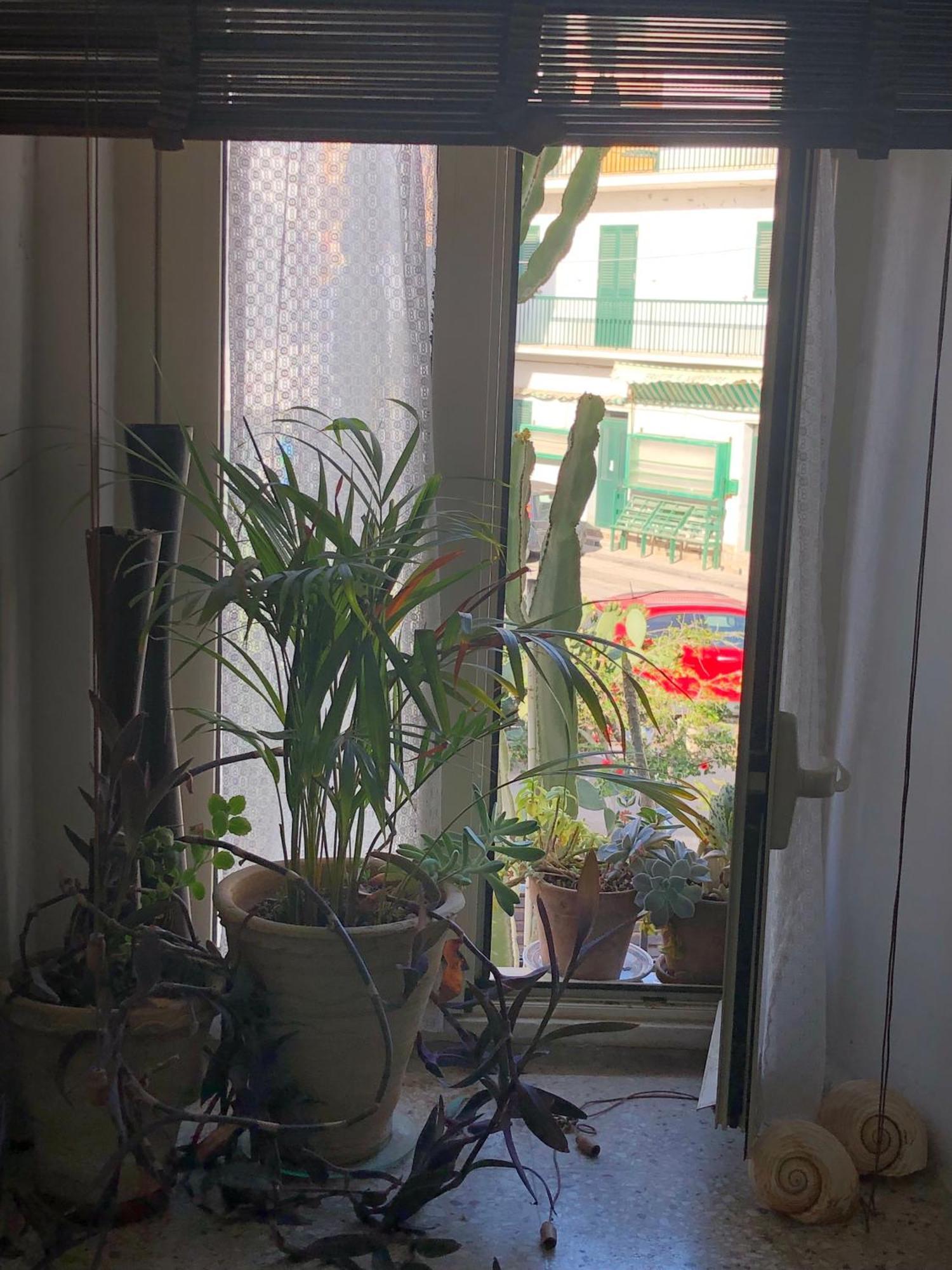 Le Muse Casa Vacanze Scoglitti Room photo